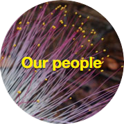 our-people
