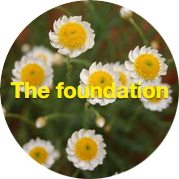 the-foundation