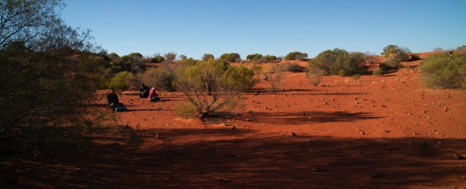Celebrating with Arid Recovery