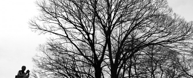 Man in front of large deciduous tree