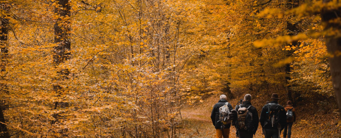 People walking through forest with autumn leaves